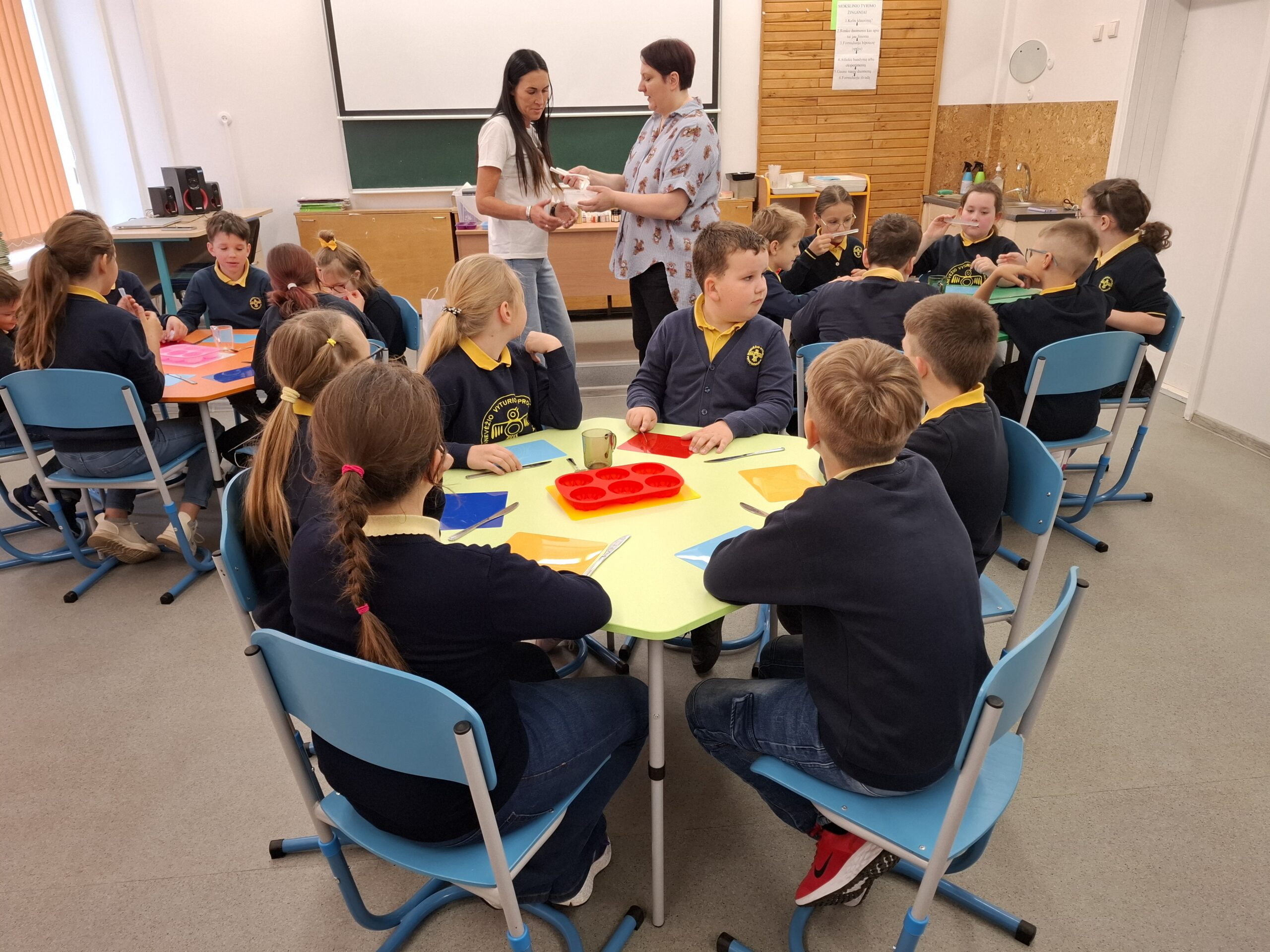 TŪM tinklaveikos renginyje Panevėžio Beržų progimnazijoje.