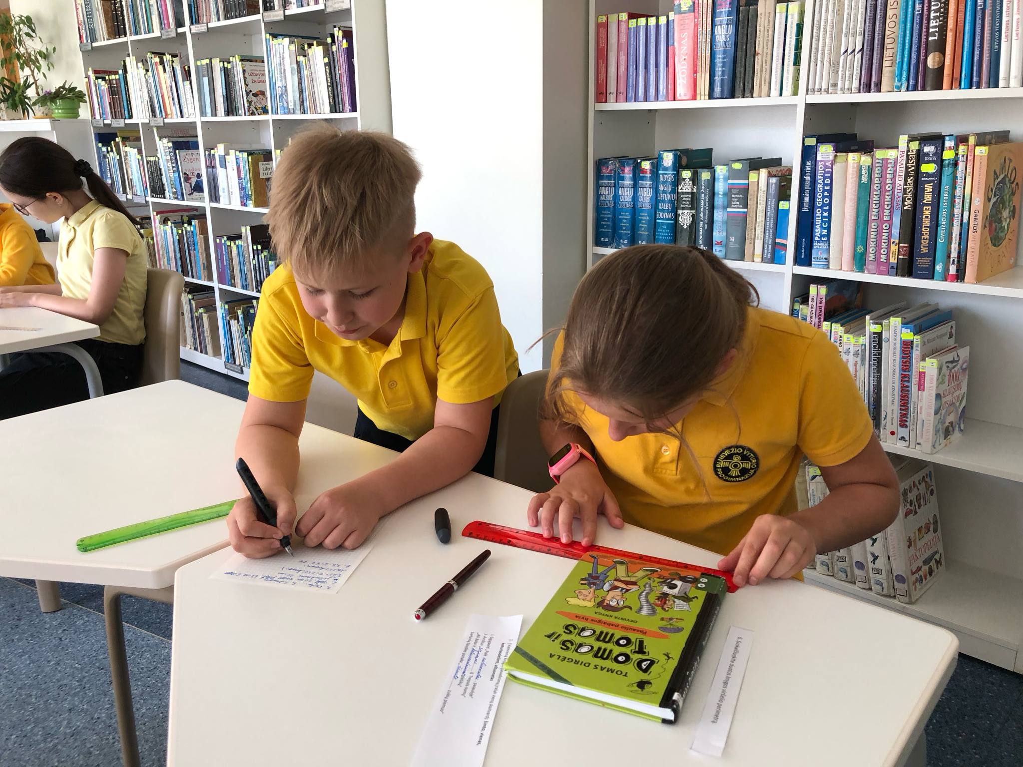 Matematika bibliotekoje