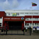 Panevėžio „ Vyturio“ progimnazija