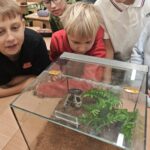 Auginu ne katę ir ne šunį spėk – ką