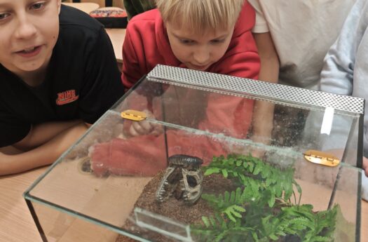 Auginu ne katę ir ne šunį spėk – ką