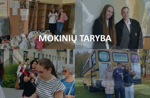 „Vyturio“ progimnazijos aštuntokės – apie pomėgius, svajones ir būsimas profesijas