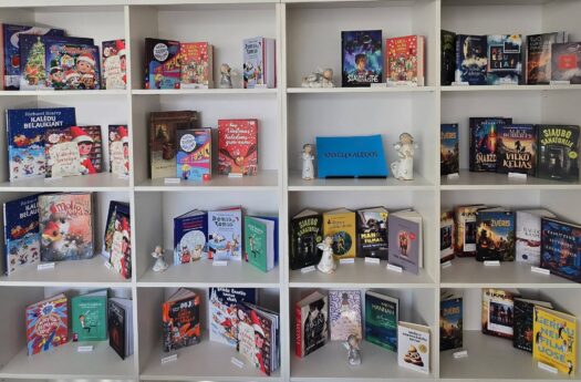 Akcija Knygų Kalėdos