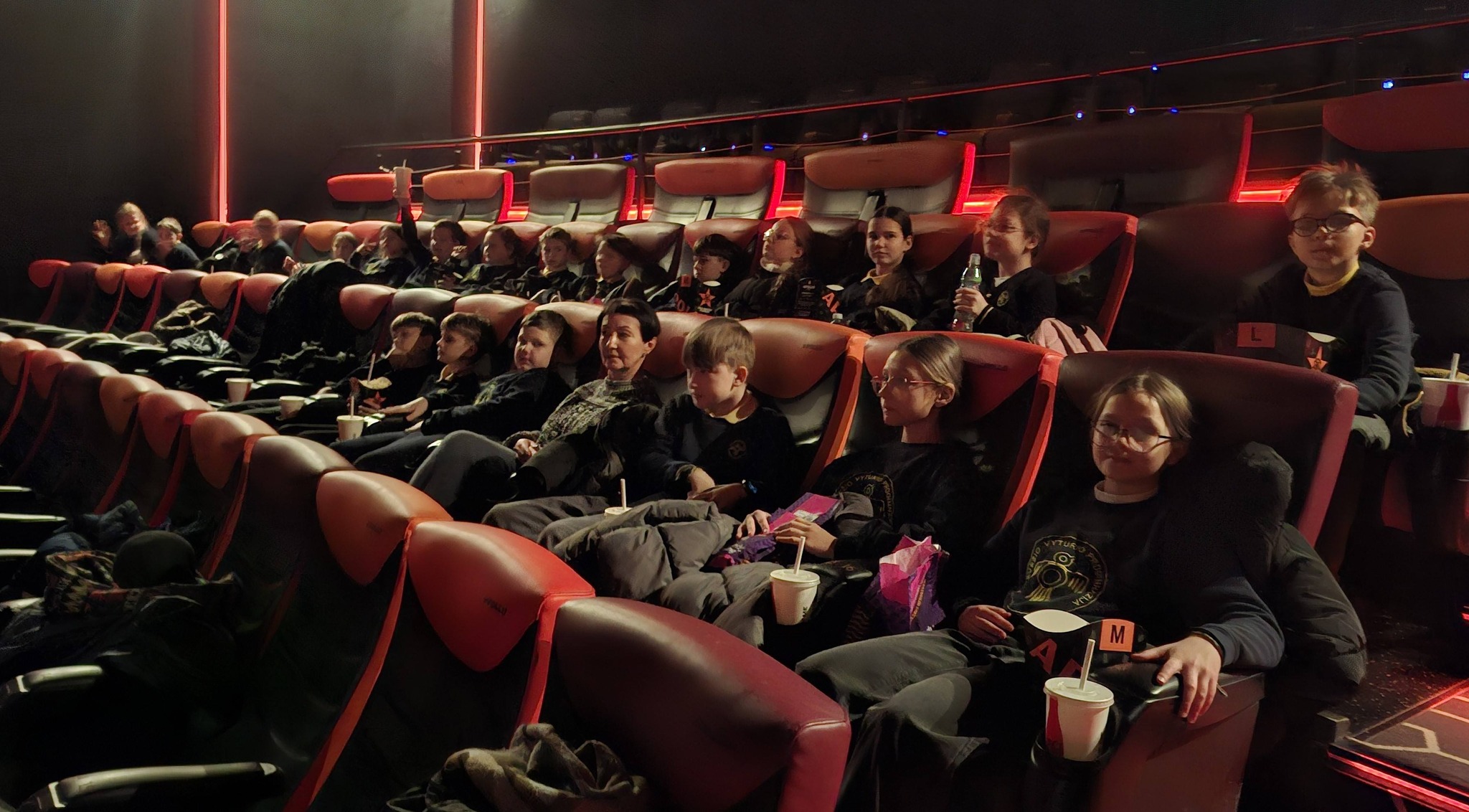 Arklio Dominyko kelionė į žvaigždes,