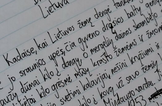 „Būti raštingu yra madinga“