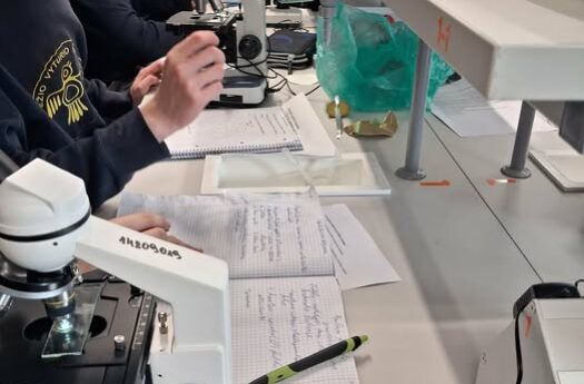Tyrinėja