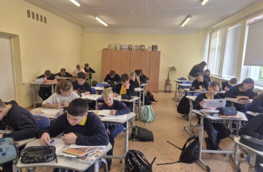 STEAM projektinė veikla