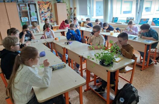 Arbatų degustacija
