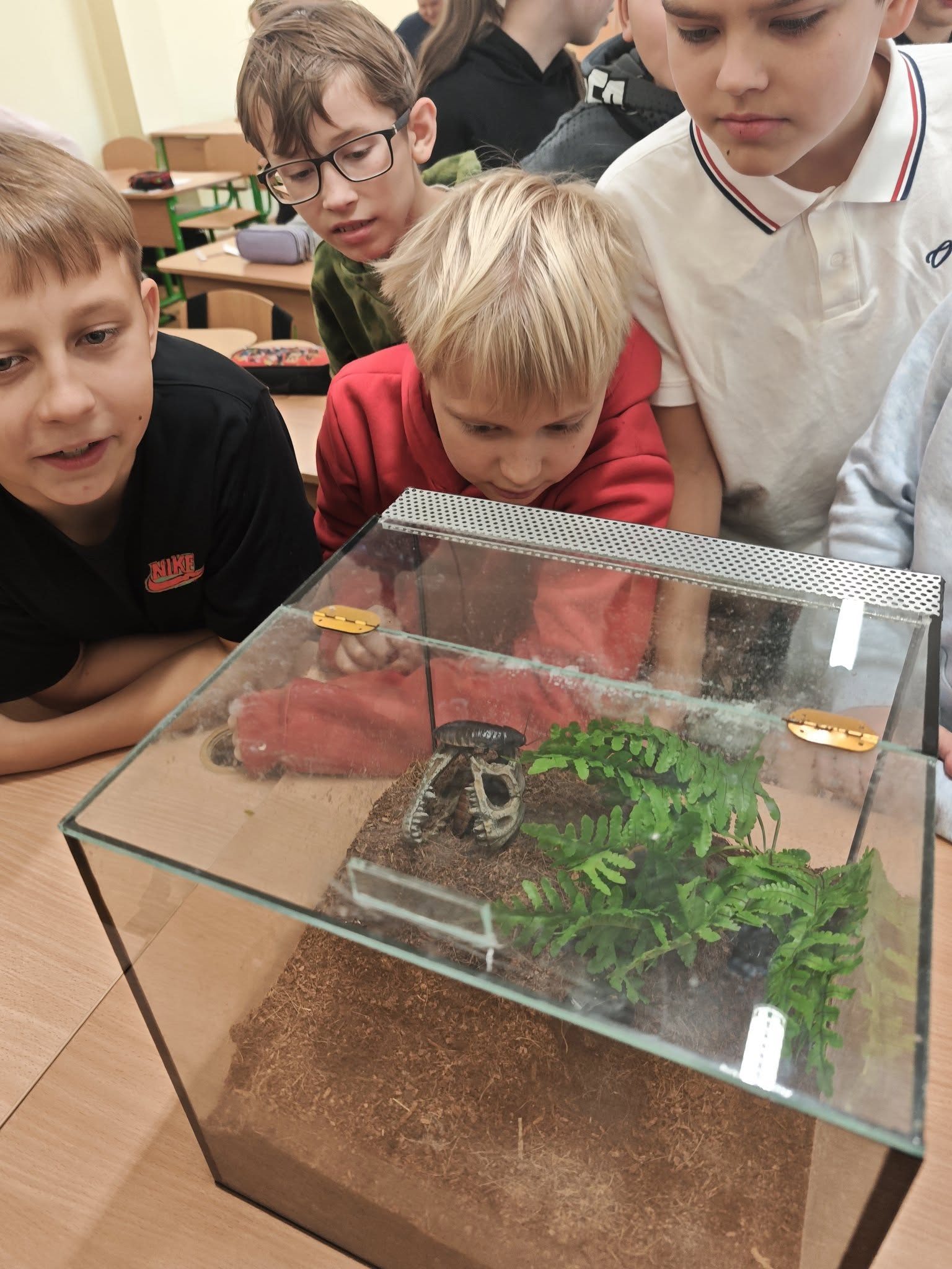 Auginu ne katę ir ne šunį spėk – ką