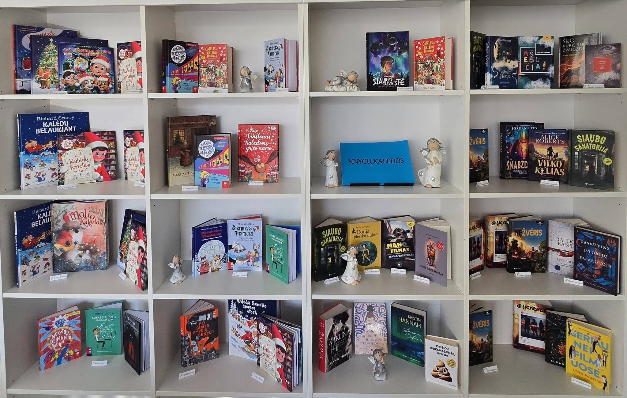 Akcija Knygų Kalėdos