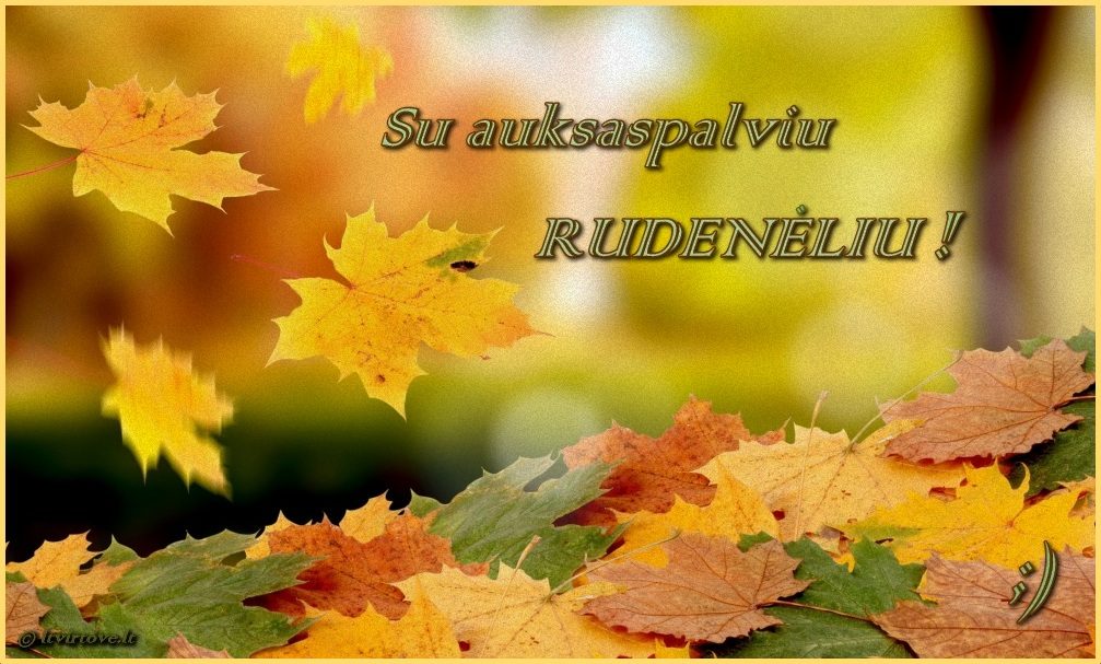 Ruduo